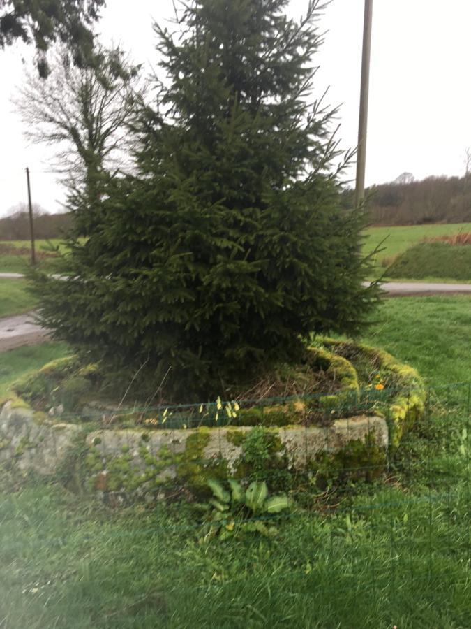 Charming 2-Bed Cabin In Domfront-En-Poiraie Perrou Buitenkant foto